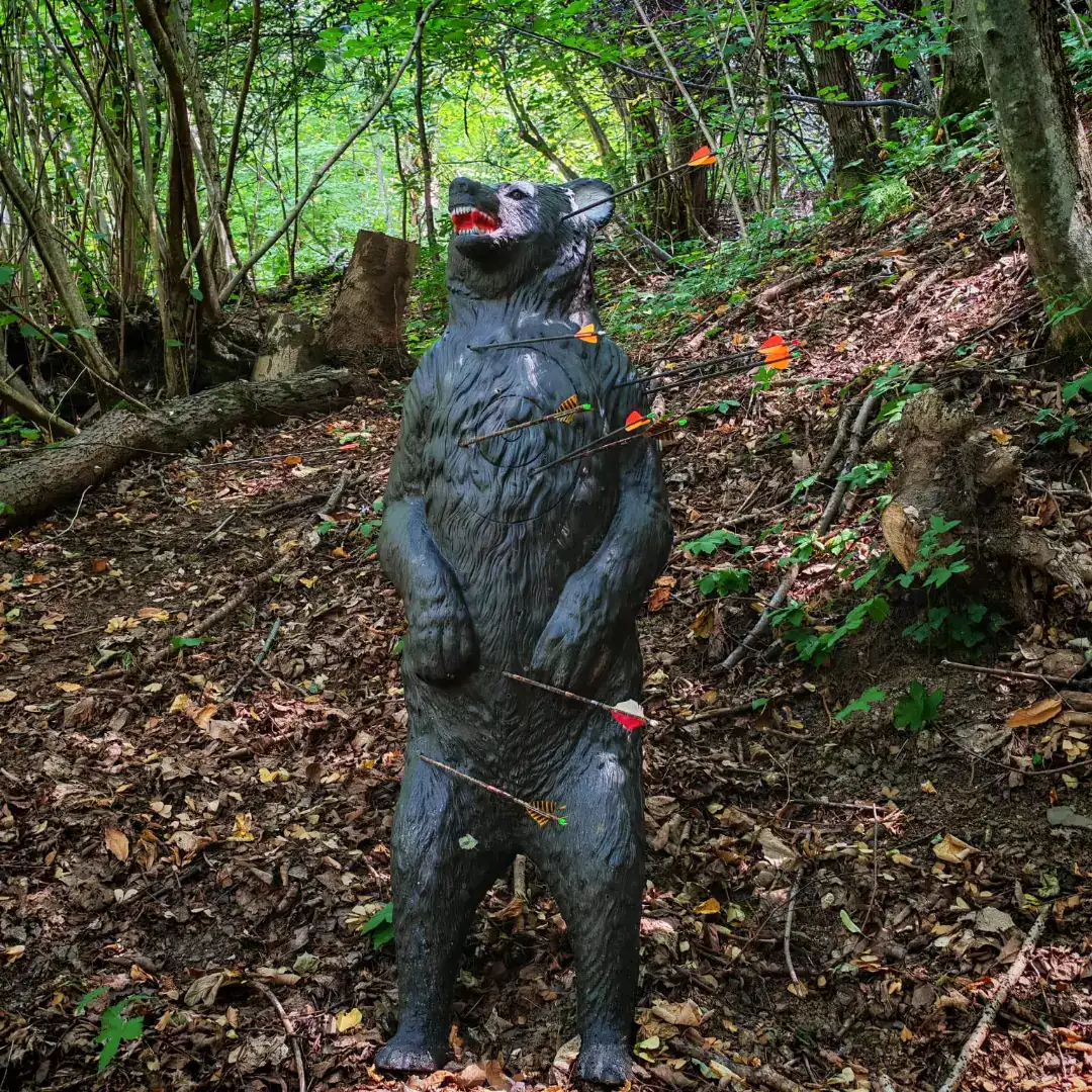 Sagoma 3D di orso con le frecce del percorso di tiro