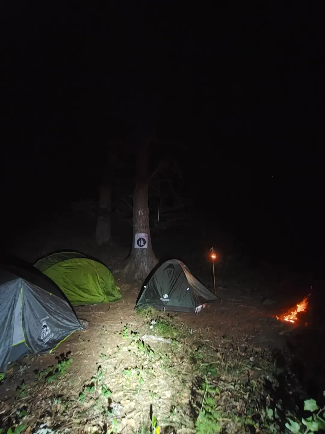 Tende nel bosco di notte, un fuoco acceso in fondo